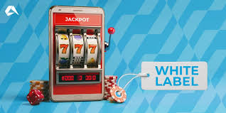Top 10 White-Label iGaming Platforms for Launching Online Casinos